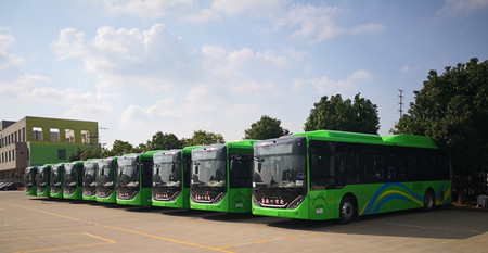 2020年445號(hào)信息1.jpg 2020年445號(hào)信息1.jpg